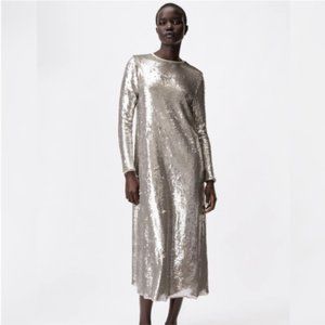 Small Zara Sequins Midi Dress